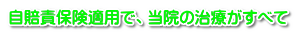 自賠責保険適用で、当院の治療がすべて